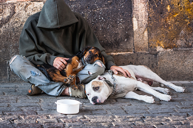beggar, homeless with two Dogs near Charles Bridge, Prague, Czech republic